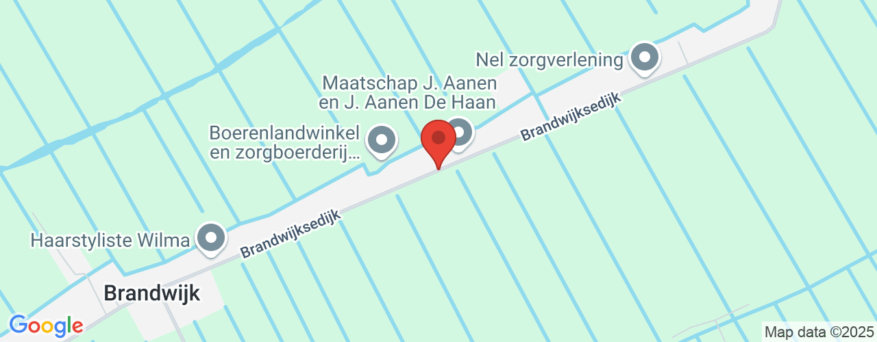 Google Maps afbeelding van de locatie van het incident. De locatie "Brandwijksedijk Brandwijk" is aangegeven met een rode marker.